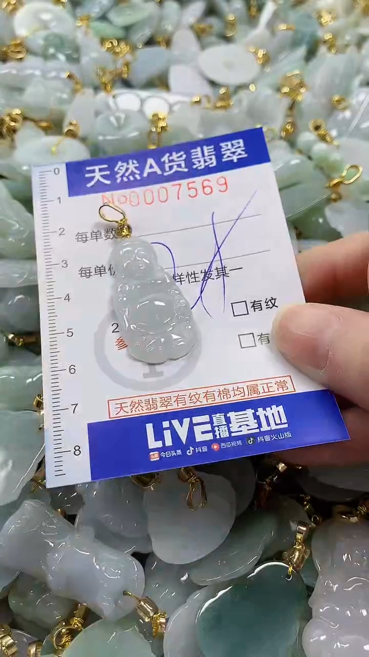 颈饰未镶嵌翡翠纯天然a货翡翠