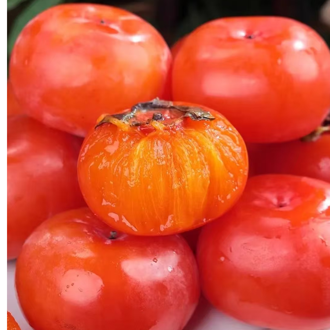 巧克力脆柿子新鲜采摘香甜应季水果