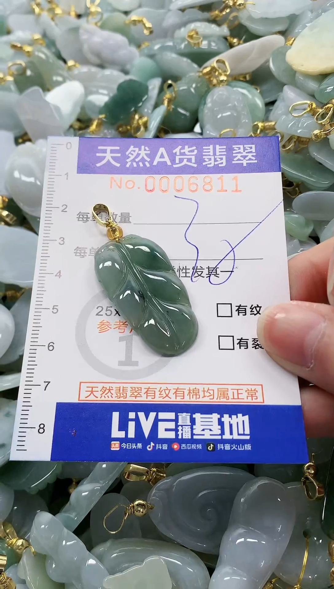 颈饰未镶嵌翡翠纯天然a货翡翠