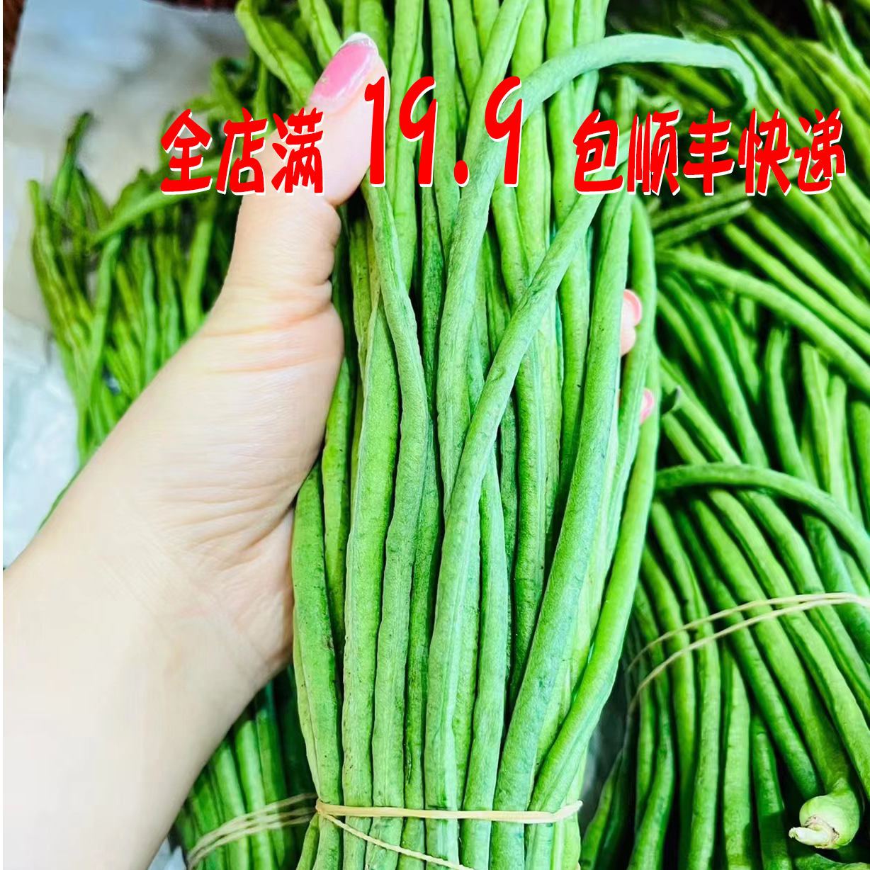 苏州常熟本地现采现发新鲜长豆蔬菜