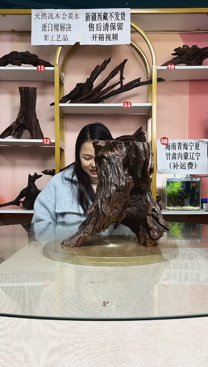 玛**咔鱼缸造景沉木A082