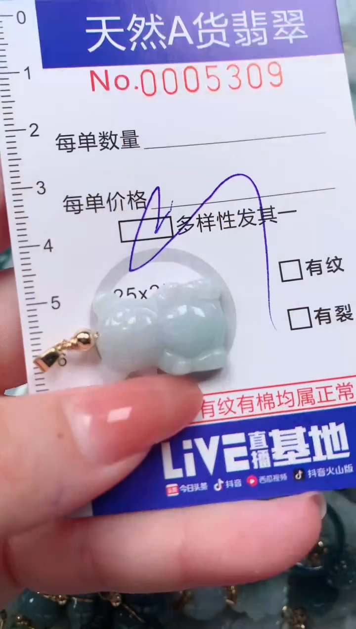 【闪购商品】翡翠颈饰未镶嵌00005309