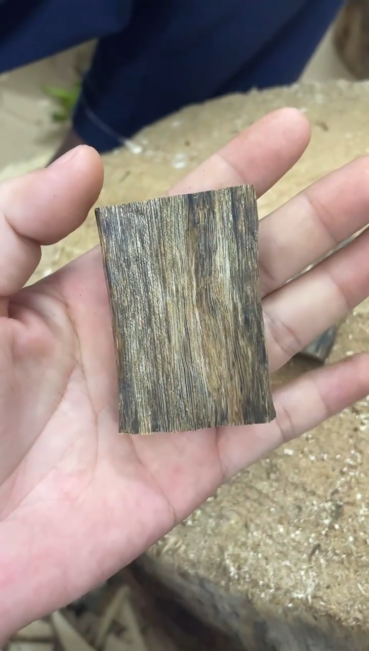 沉香沉香碎屑棋楠沉香 原料文创1