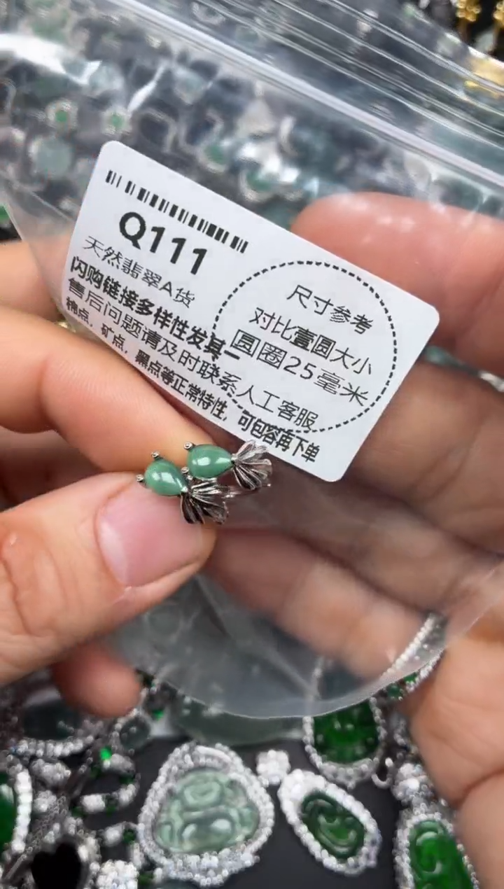 颈饰未镶嵌翡翠Q111耳扣