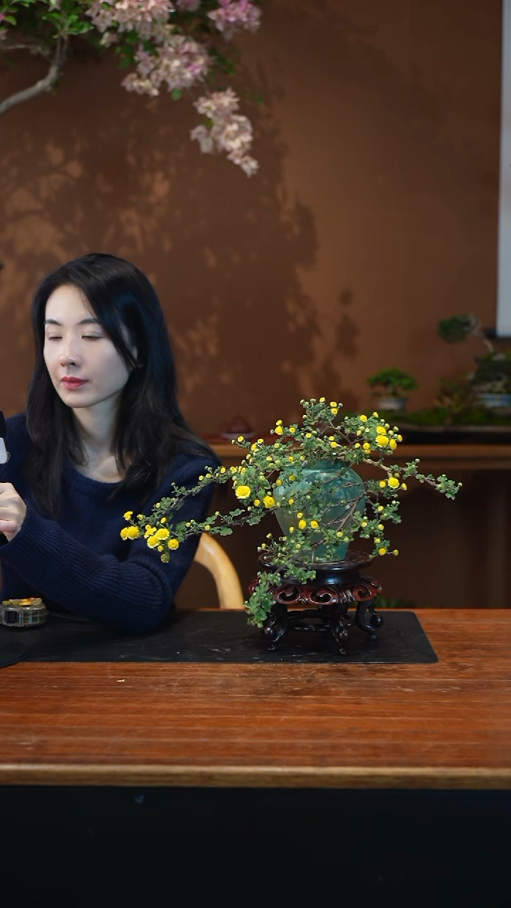 全部花朵山野草盆景盆景盆景