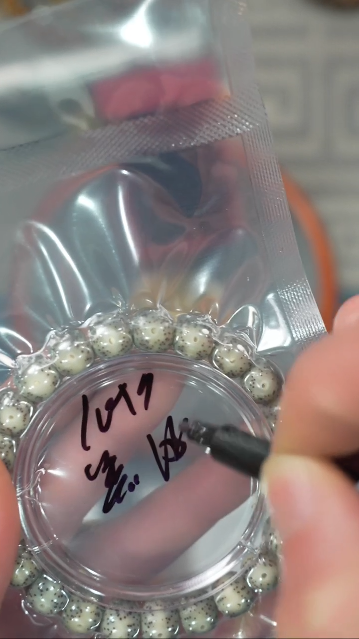 【闪购商品】星月菩提吊坠净庄阁文玩