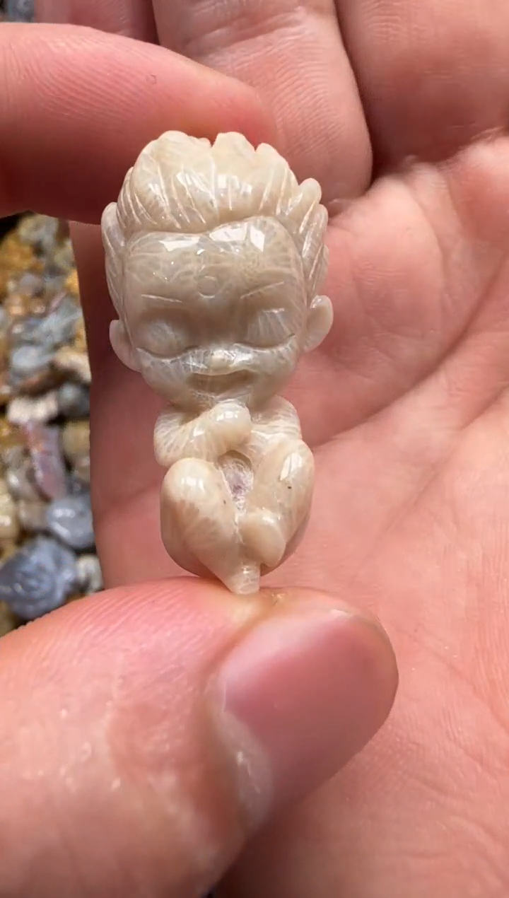 【闪购商品】硅化珊瑚（珊瑚玉）颈饰未镶嵌138