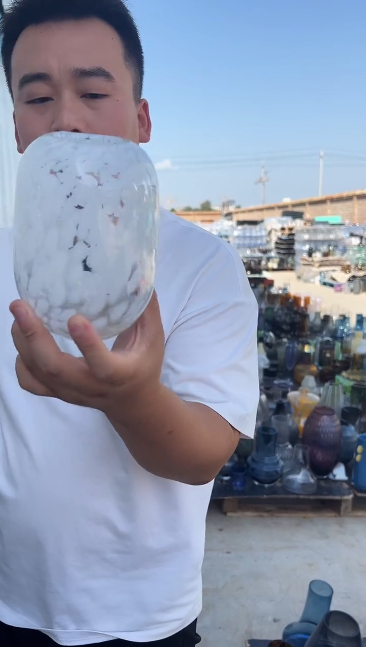 花瓶客厅餐桌插花装饰好物一只
