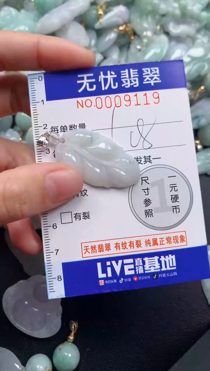 颈饰未镶嵌翡翠9119