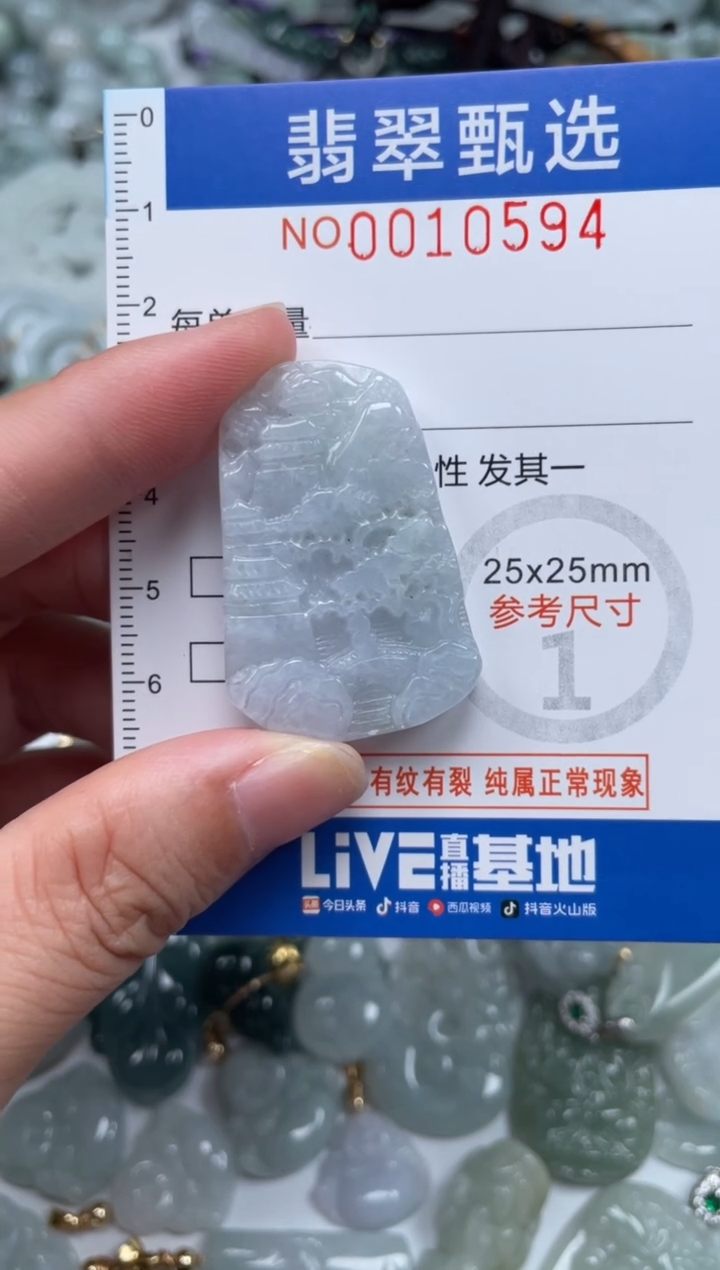 颈饰未镶嵌翡翠10594