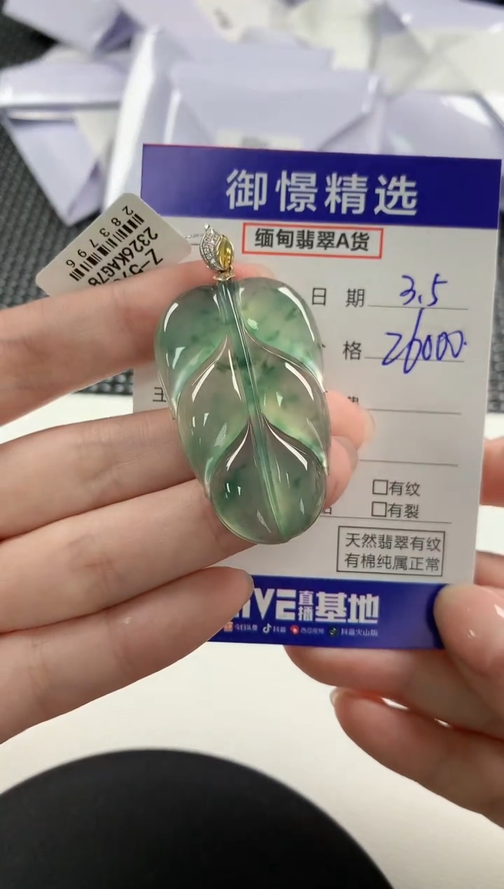 【闪购商品】翡翠颈饰18K金镶嵌90       