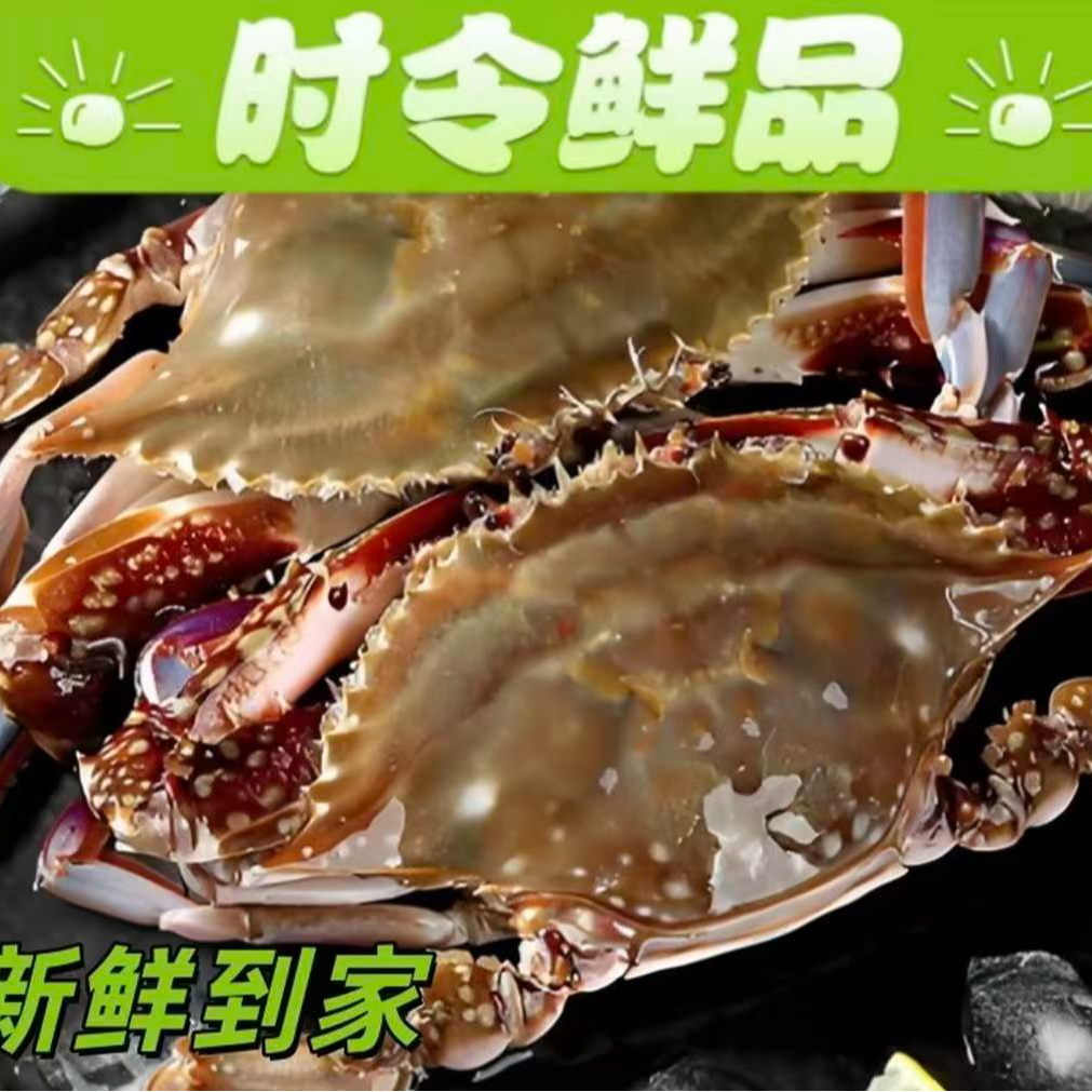 【保鲜不保活】4斤左右渤海湾梭子蟹2-4两10-15只海鲜