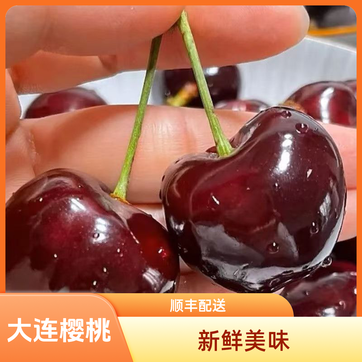 【大连樱桃】产地直采绿色健康（顺丰包邮）次日送达  1/2斤 1J 2J 3J 4J