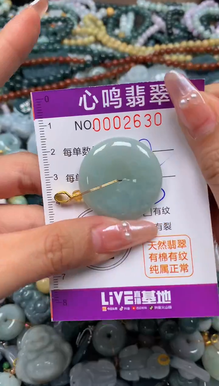 颈饰未镶嵌翡翠闪购002630