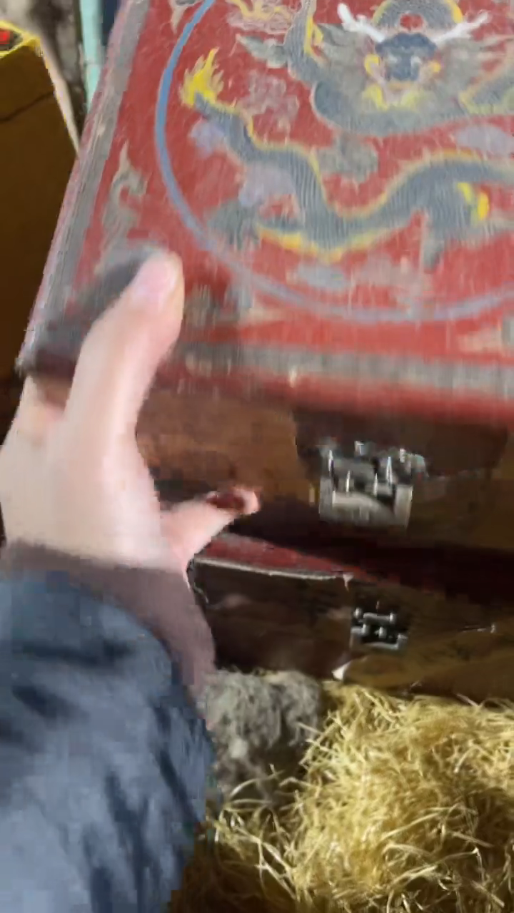 香榧木（1个小型红色盘龙正方形盒子）