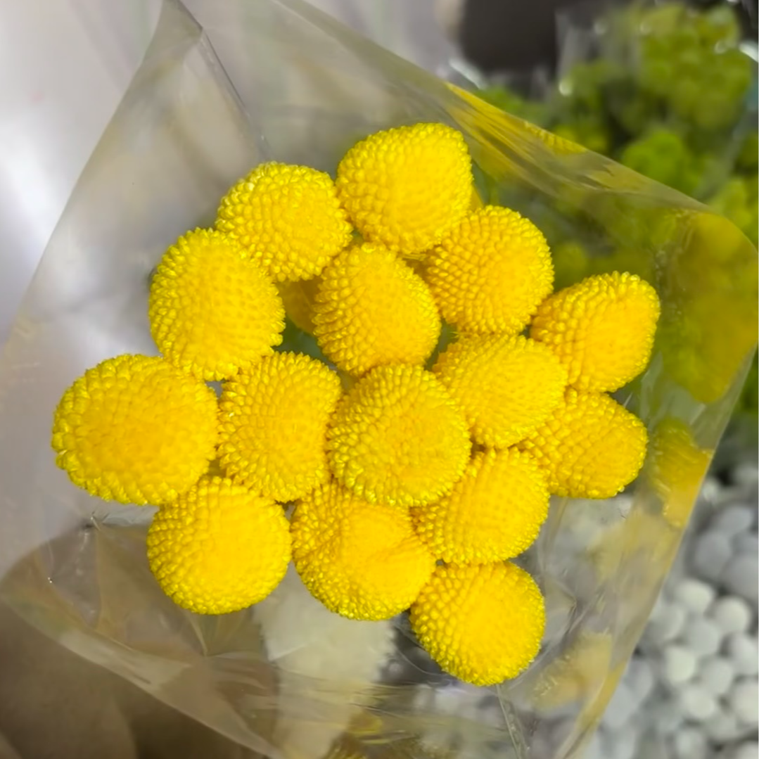 【黄金球】永恒灿烂干花 轻奢软装搭配