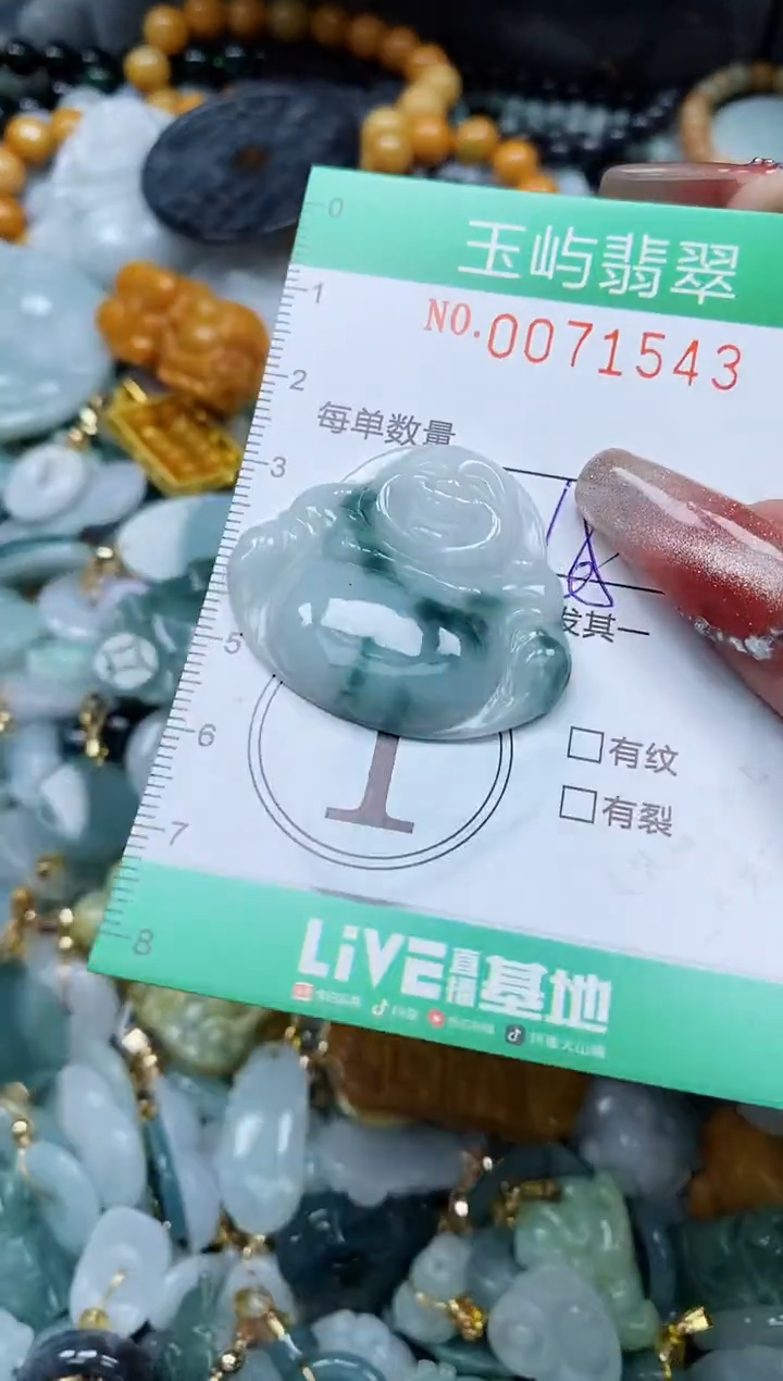 【闪购商品】翡翠颈饰未镶嵌闪购0071543