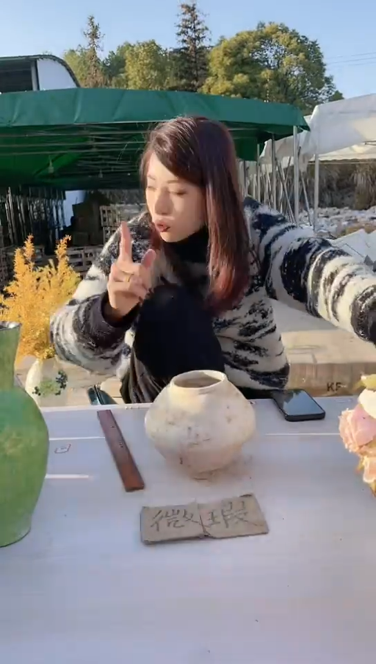 【闪购商品】陶瓷景德镇手工陶瓷微瑕介意勿拍