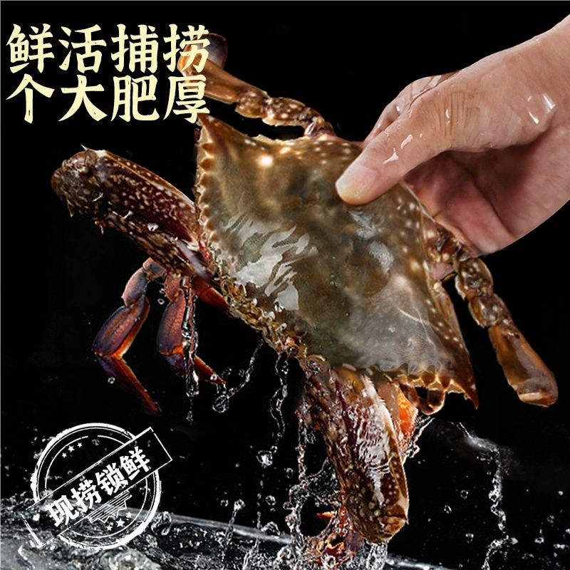 【胖姐海鲜】掉抓残蟹海蟹母蟹有籽有肉2-5斤单只1-5两【保鲜不保活】
