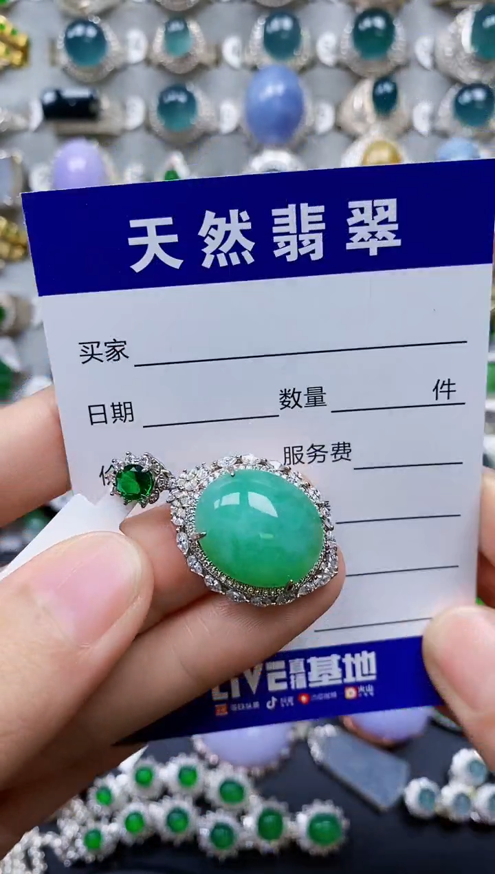 【闪购商品】翡翠颈饰银S925镶嵌0499