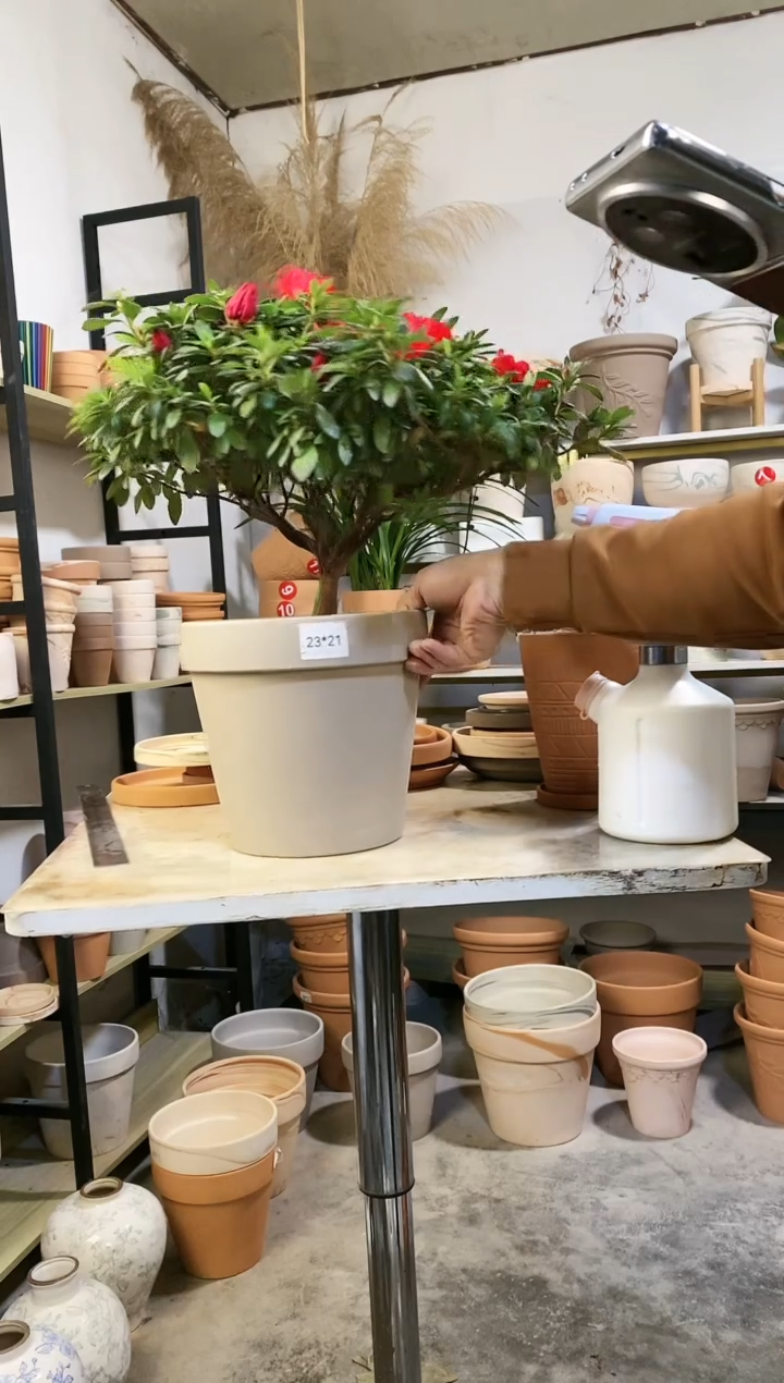 【闪购商品】红陶23*21灰陶国际 1盆无托