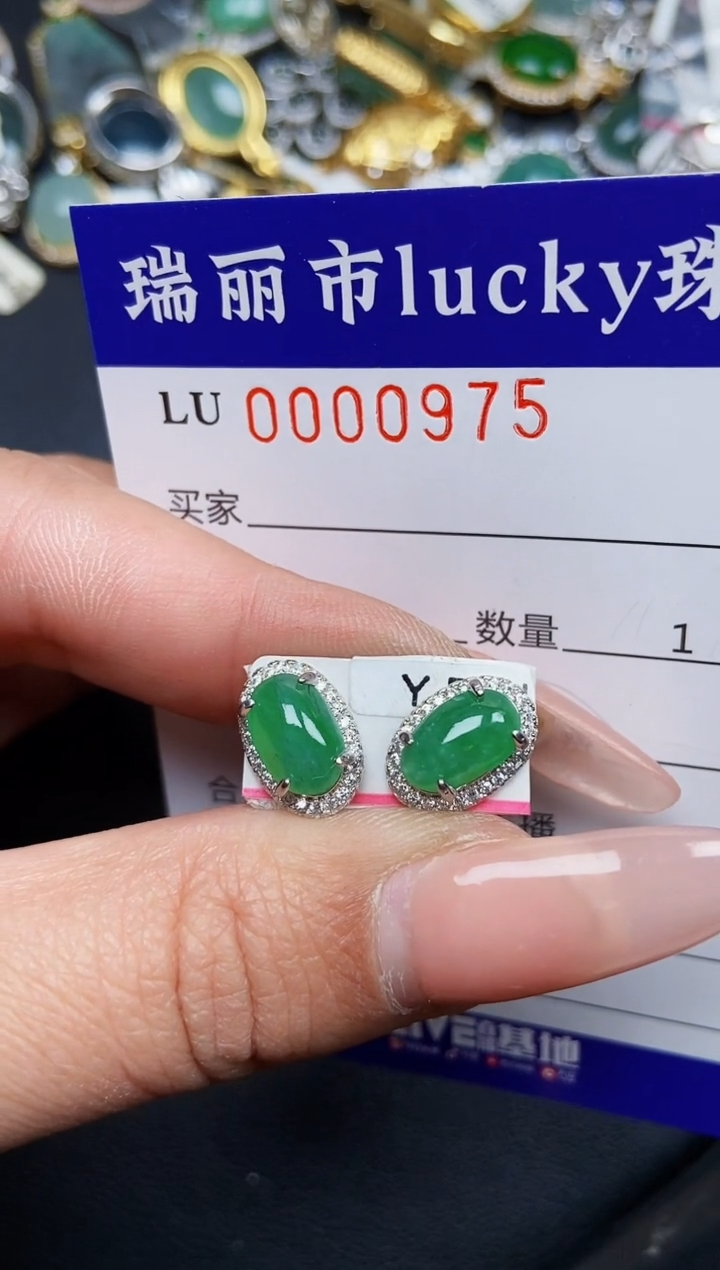 【闪购商品】翡翠颈饰银S925镶嵌0975