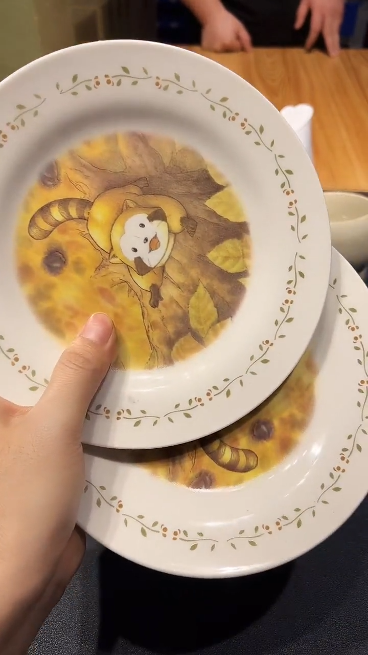 瓷片1210好好好好好好好