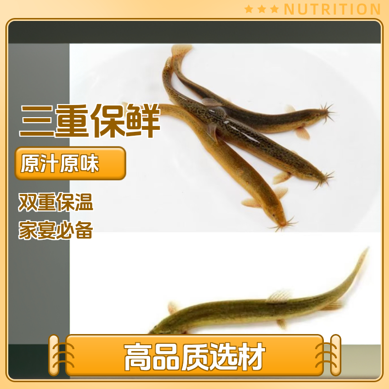 3斤竣富土货正宗野捕泥鳅鱼土泥鳅青泥鳅黄鳅板鳅顺丰包邮活到家