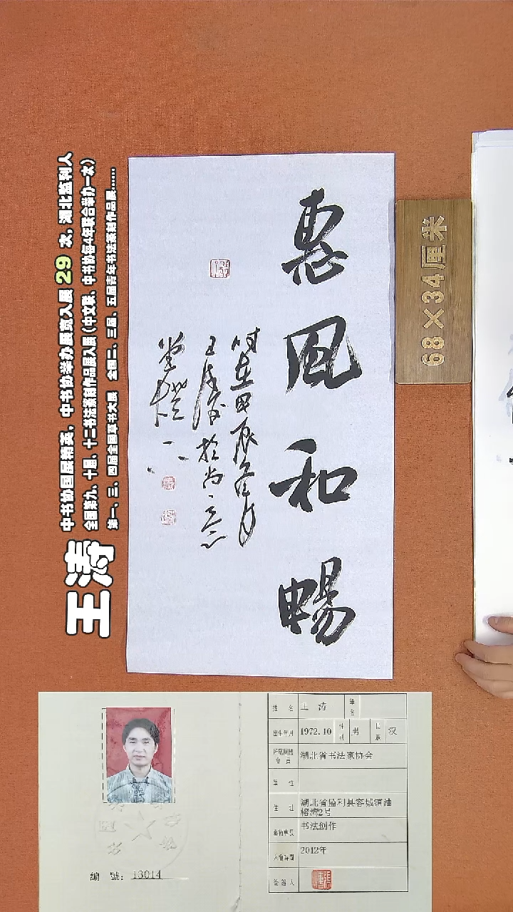 【闪购商品】书法305王涛书法作品