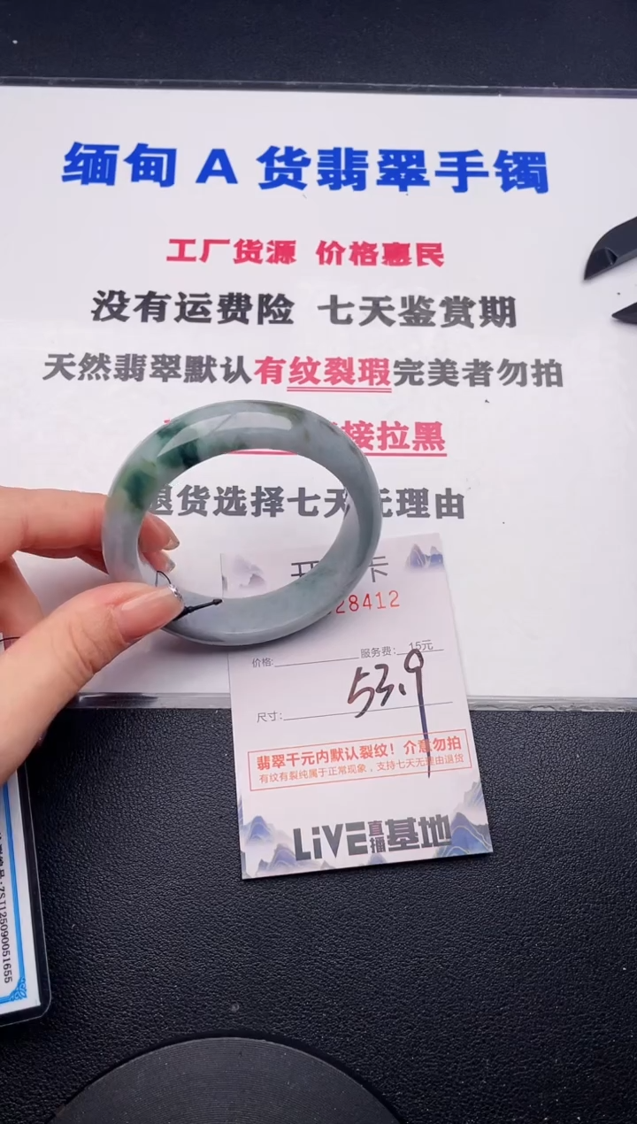 未镶嵌手镯翡翠12