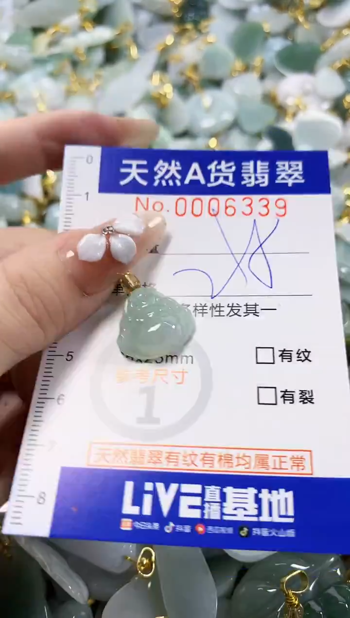 颈饰未镶嵌翡翠天然A货翡翠