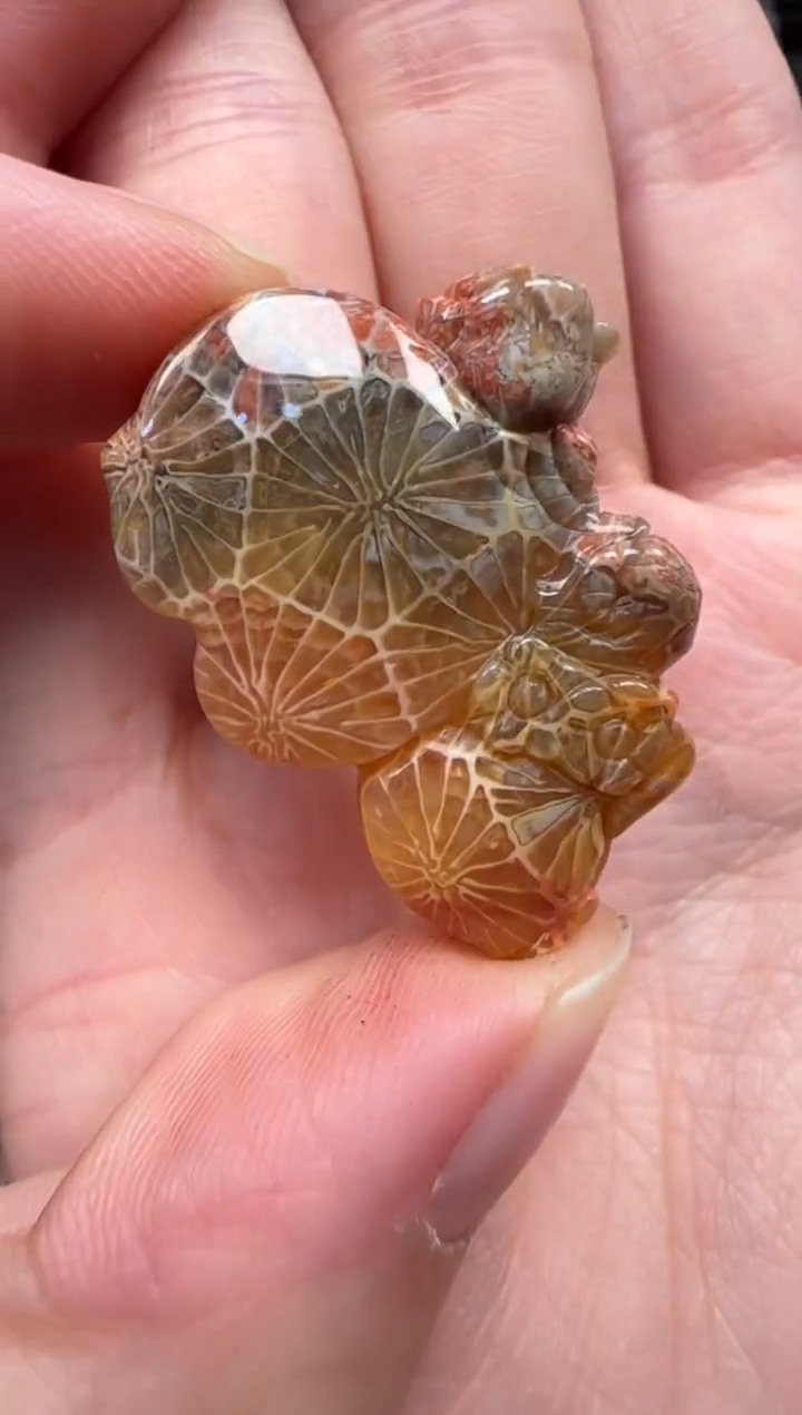 颈饰未镶嵌硅化珊瑚（珊瑚玉）385