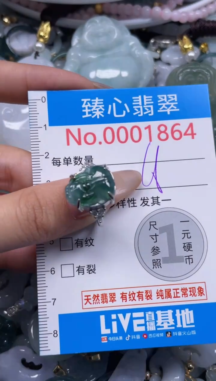 颈饰未镶嵌翡翠1864