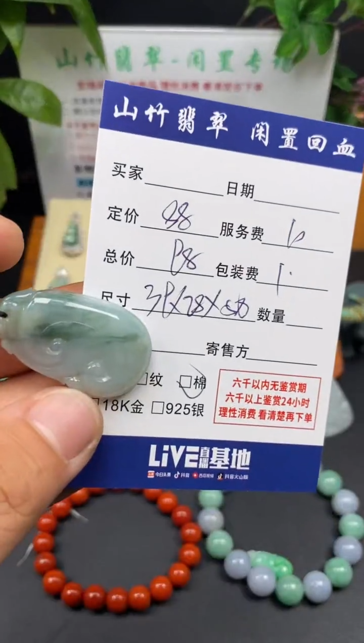 颈饰未镶嵌翡翠3001927