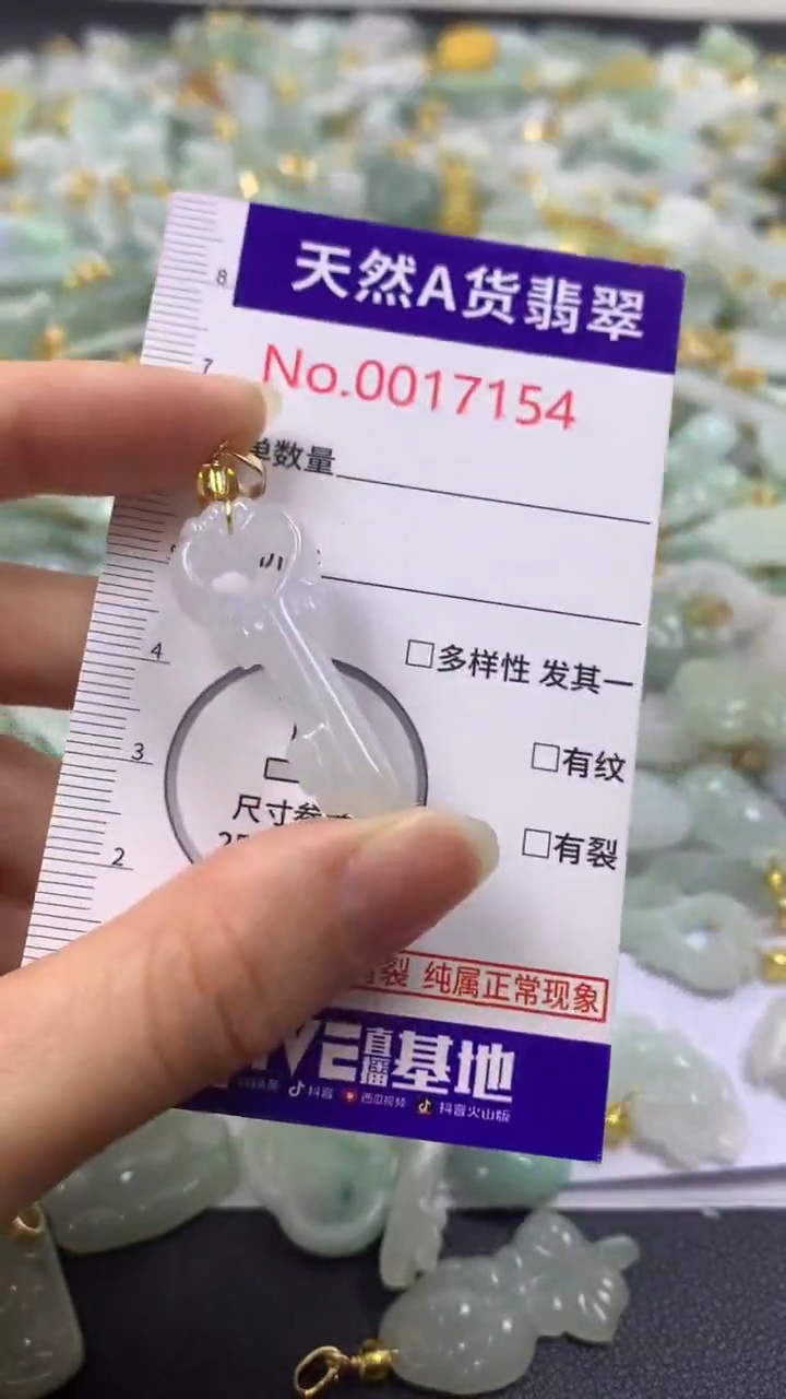 颈饰未镶嵌翡翠1