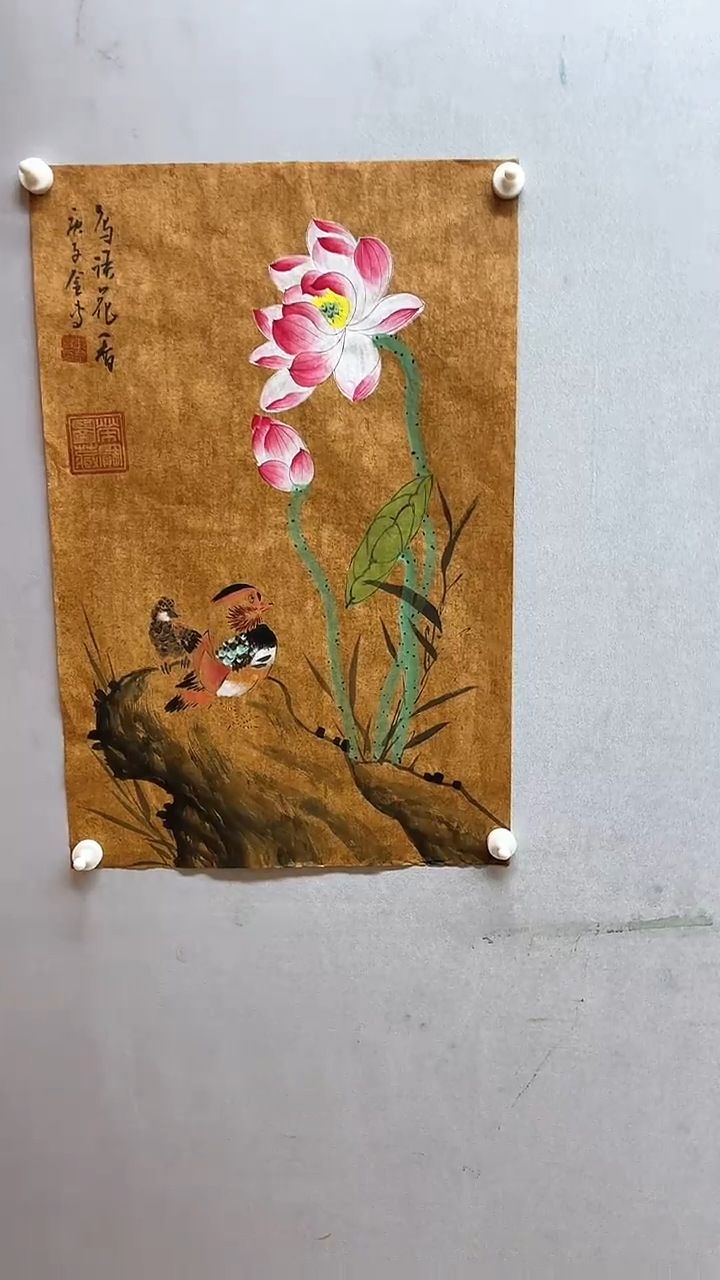 【闪购商品】国画张金专 鸟语花香