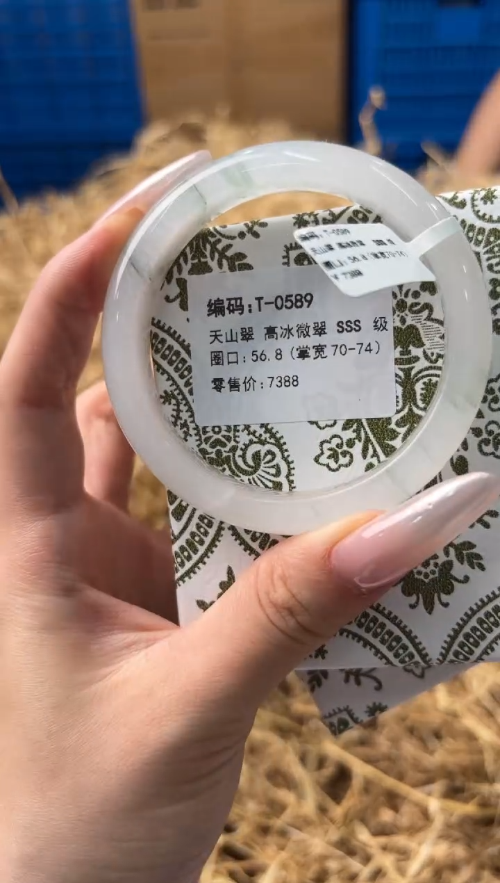 未镶嵌手镯石英质玉T-0589
