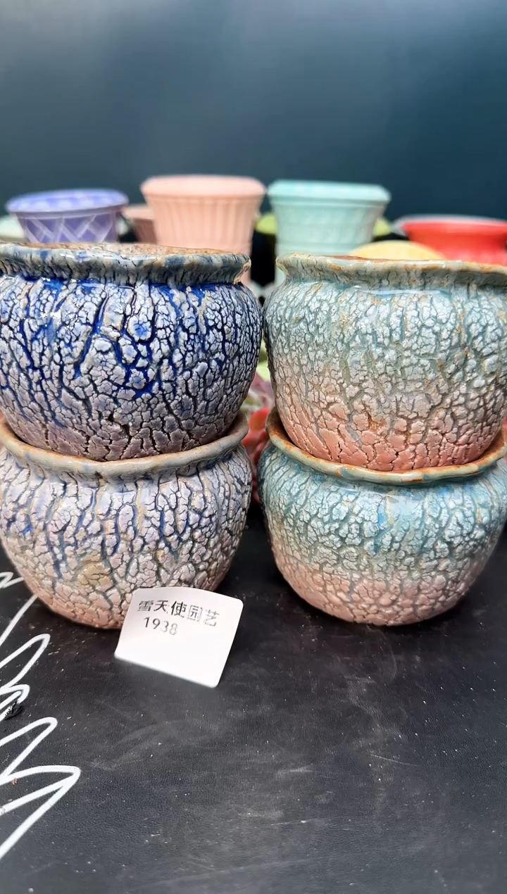 19 38  爆裂盆4个 默认微瑕