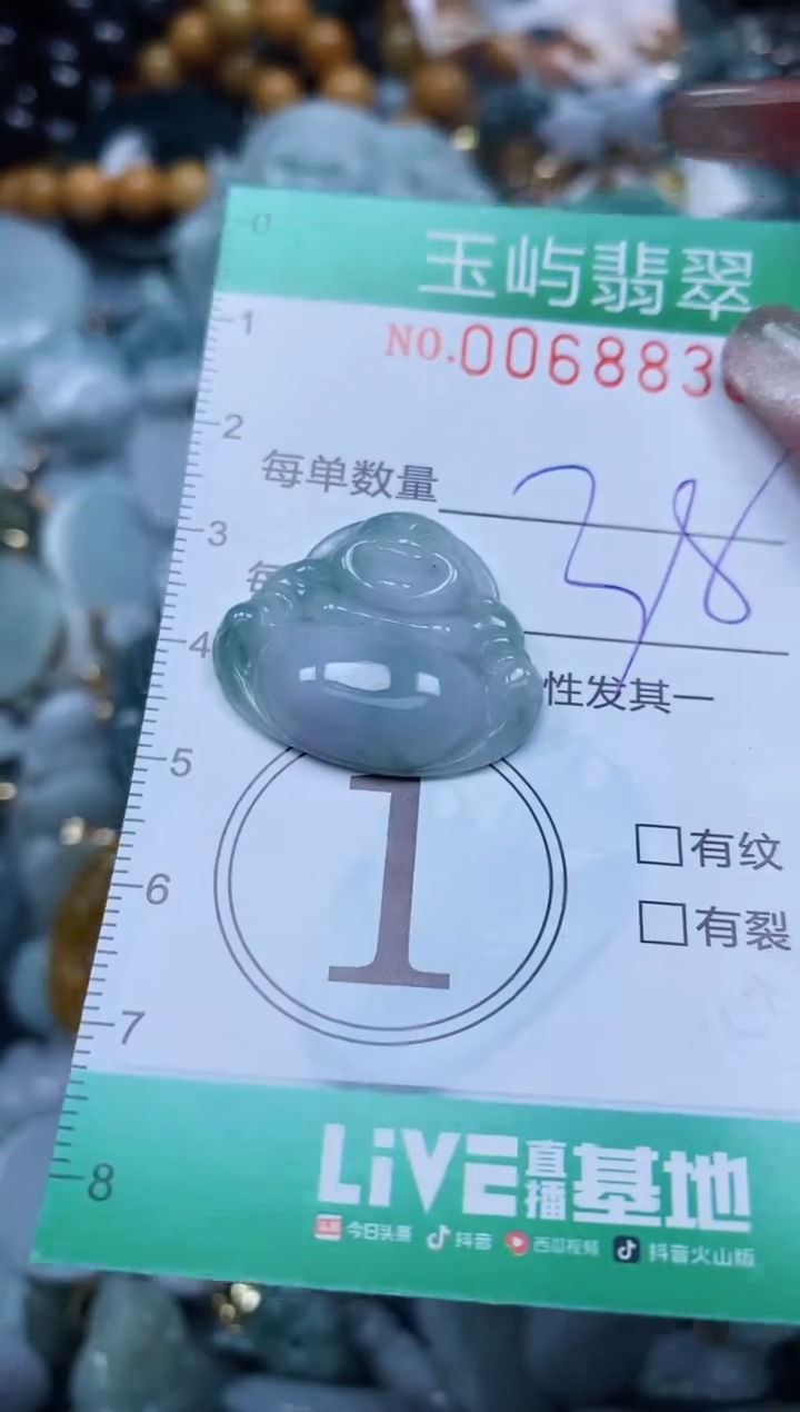 【闪购商品】翡翠颈饰未镶嵌闪购0068838