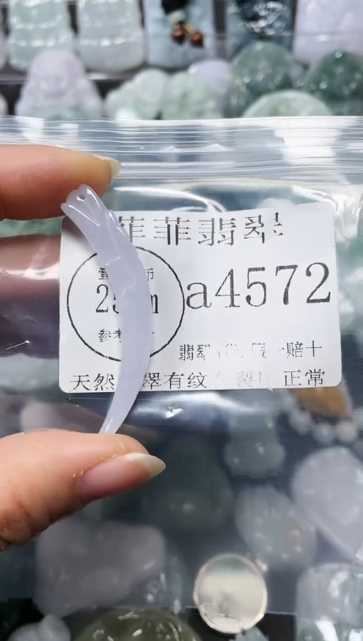 【闪购商品】翡翠颈饰未镶嵌闪购4572