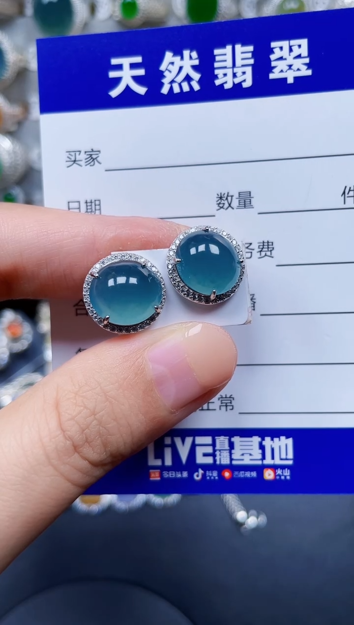 银S925镶嵌翡翠耳饰245