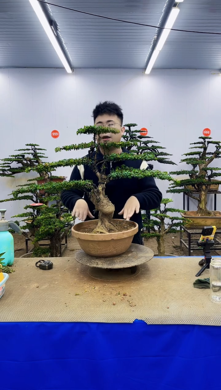 完全开放一物一拍，所见即所得