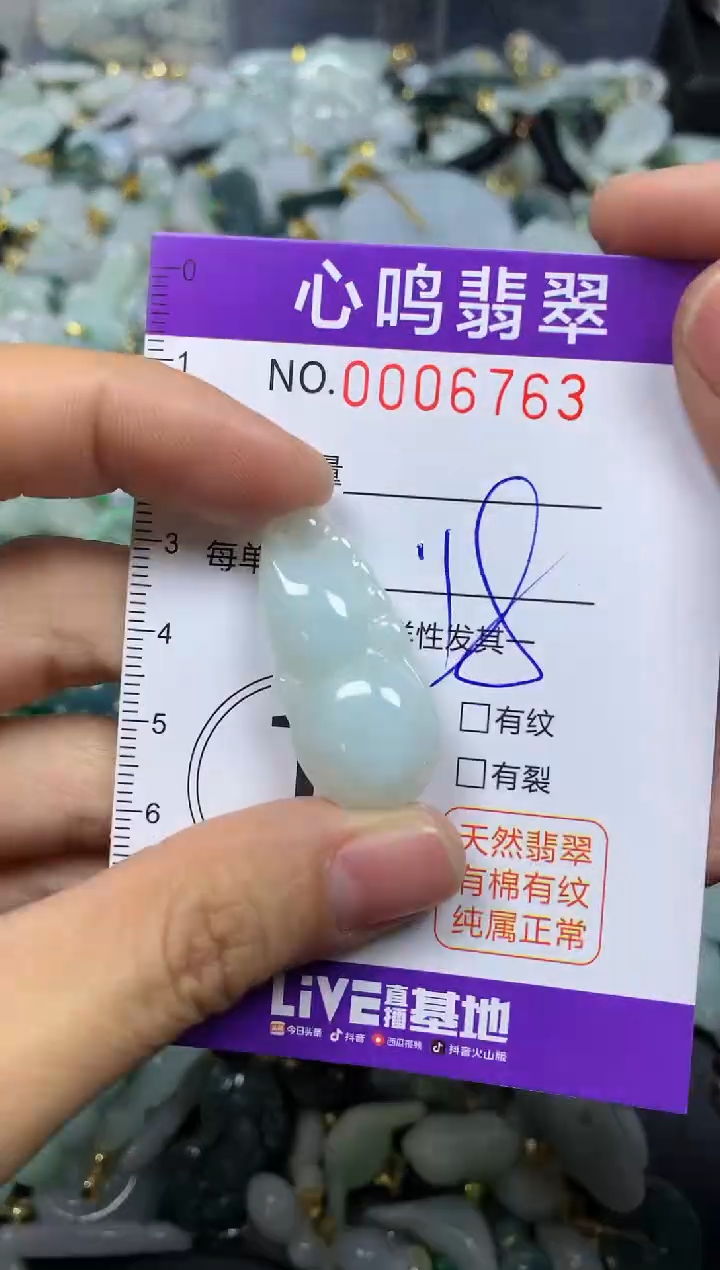 【闪购商品】翡翠颈饰未镶嵌闪购006763