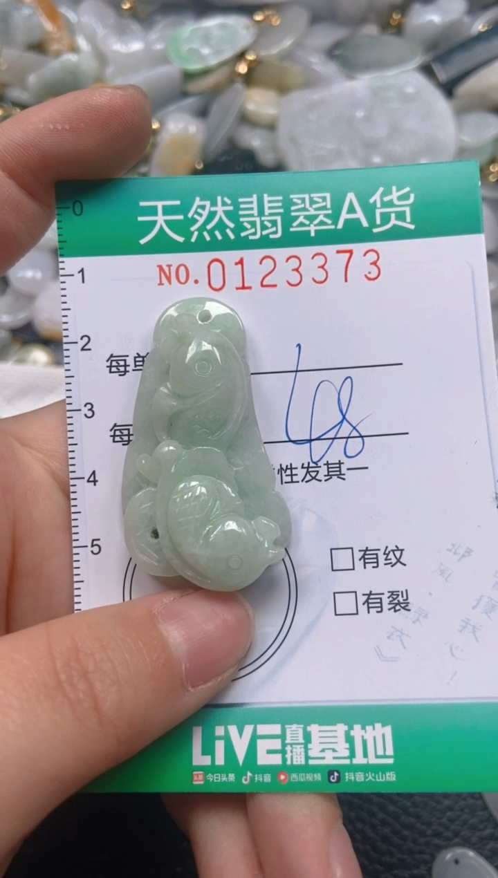 翡翠未镶嵌颈饰闪购0123373