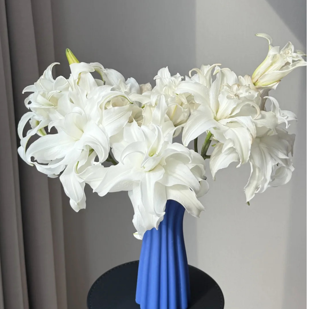 【源头优选】白凤凰重瓣香水百合花水养插花用云南直发鲜花