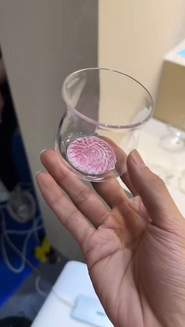 粉凤尾祈福主人杯 晶焱金标