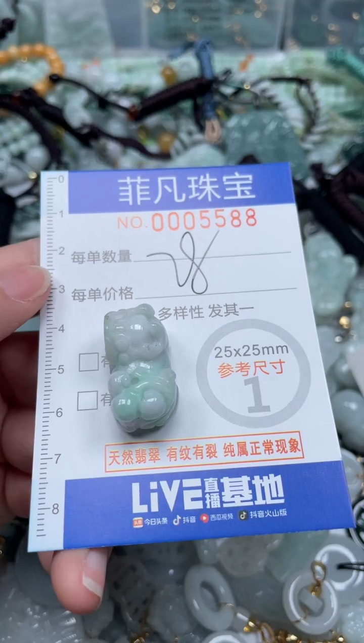 【闪购商品】翡翠颈饰未镶嵌00..5588