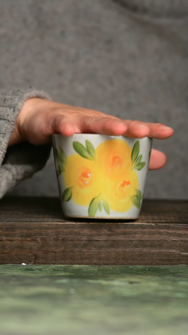 【闪购商品】青诗手工手绘瓷器