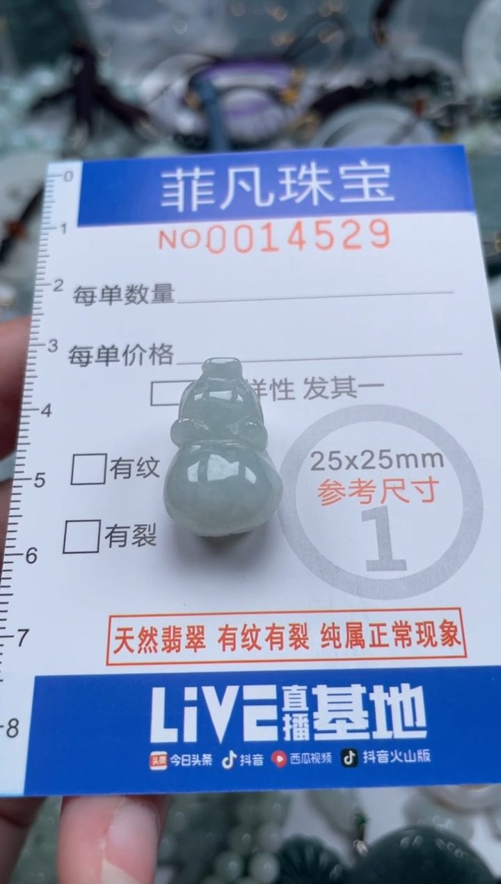 颈饰未镶嵌翡翠14529