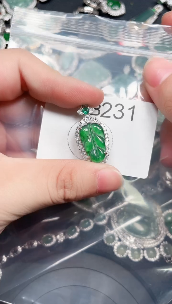 【闪购商品】翡翠颈饰未镶嵌赠皮绳231